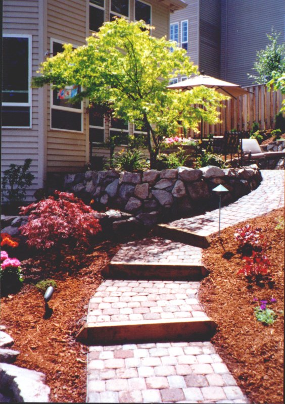 Patio hardscape with paver walkway