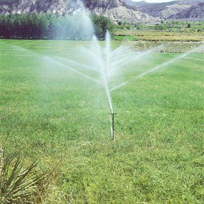 Irrigation system and sprinklers