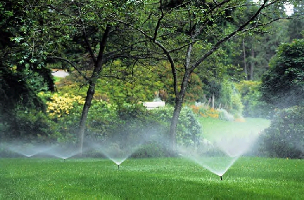 Row of small sprinklers