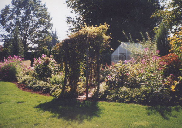 Large garden with plants