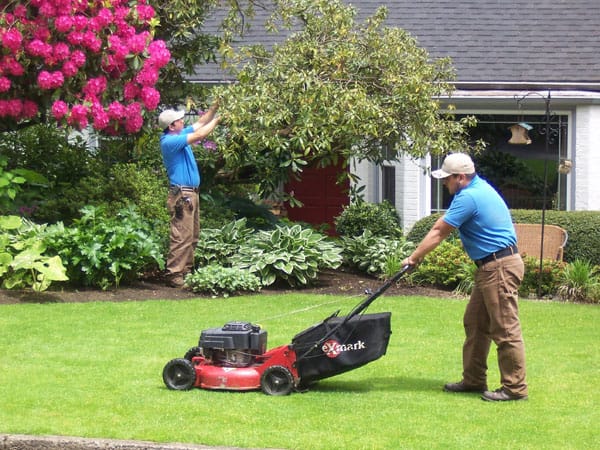 Lawn care and tree trimming